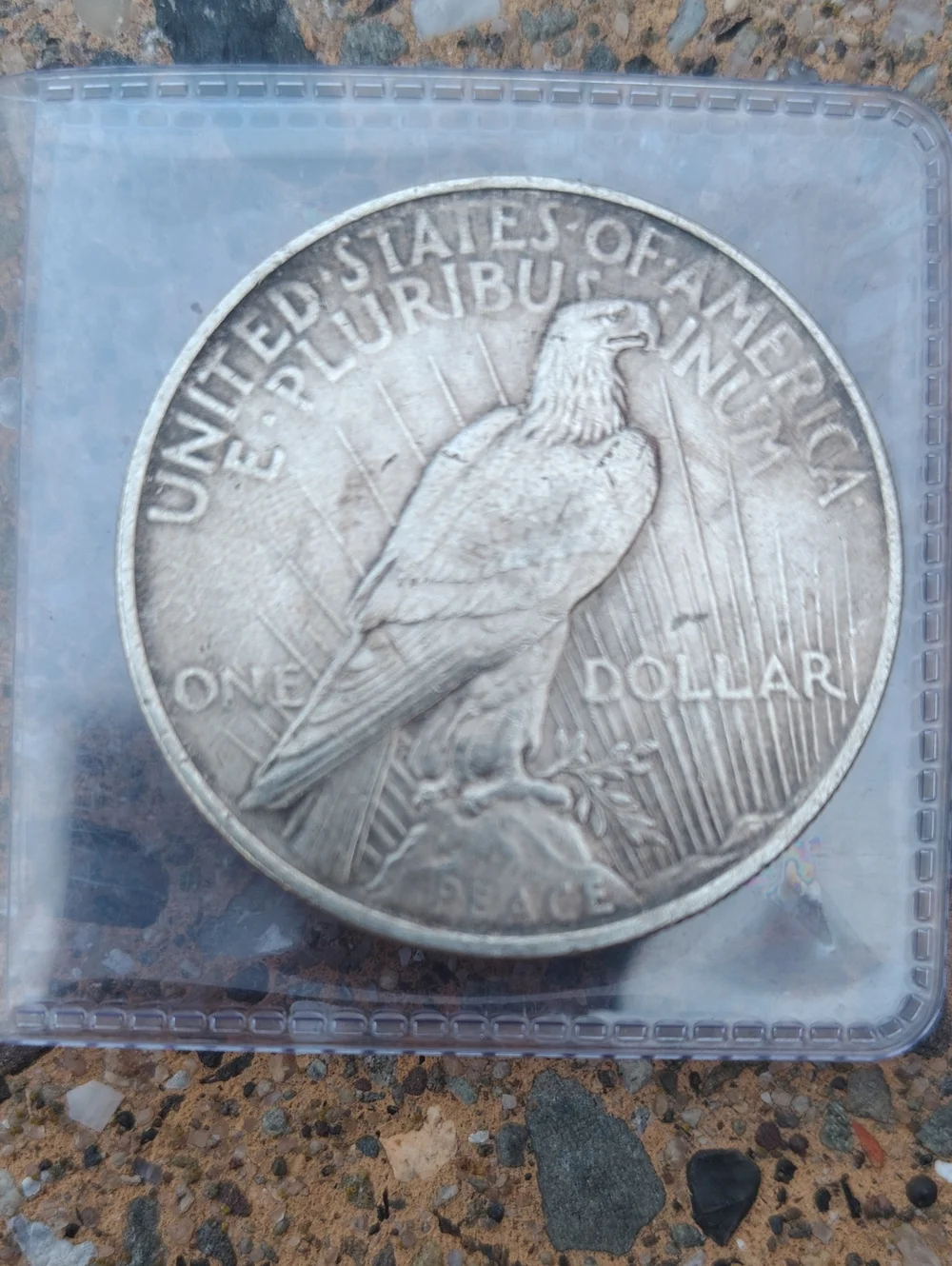 🌹🇺🇸1924 Silver Peace Dollar🇺🇸🌹